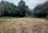 Non-developable land for sale on España, Cangas de Onís, ref: TR364671 photo