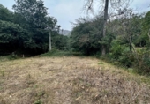 Non-developable land for sale on España, Cangas de Onís, ref: TR364671 photo
