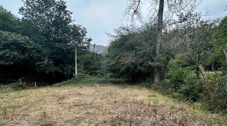 Asturias - Cangas de Onís - 830m2