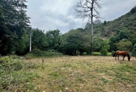 Cangas de Onís 830&nbsp;m² 