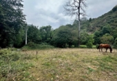 Non-developable land for sale on España, Cangas de Onís, ref: TR364671 photo