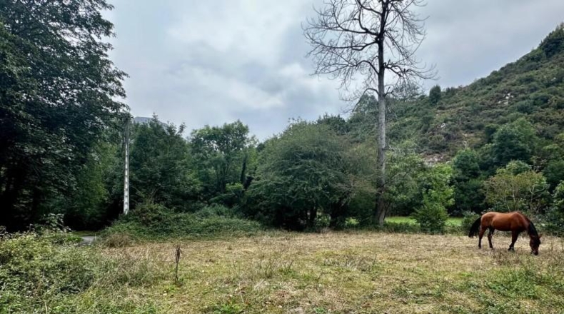 Asturias - Cangas de Onís - 830m2
