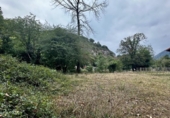 Non-developable land for sale on España, Cangas de Onís, ref: TR364671 photo