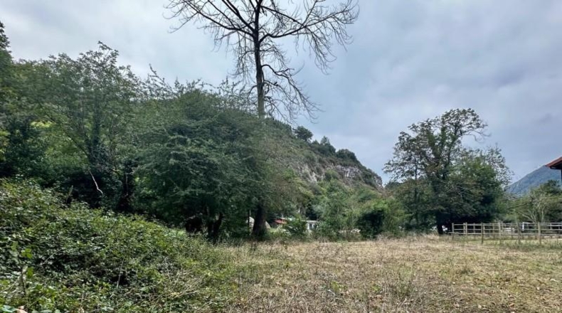 Asturias - Cangas de Onís - 830m2