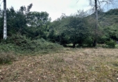 Non-developable land for sale on España, Cangas de Onís, ref: TR364671 photo