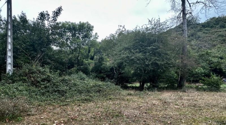 Asturias - Cangas de Onís - 830m2