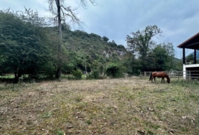 Cangas de Onís 830&nbsp;m² 