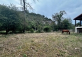 Non-developable land for sale on España, Cangas de Onís, ref: TR364671 photo