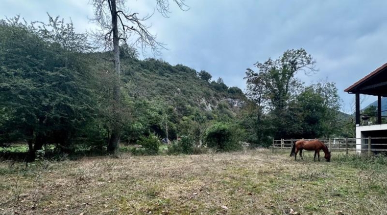 Asturias - Cangas de Onís - 830m2