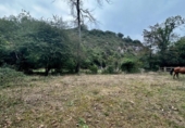 Non-developable land for sale on España, Cangas de Onís, ref: TR364671 photo