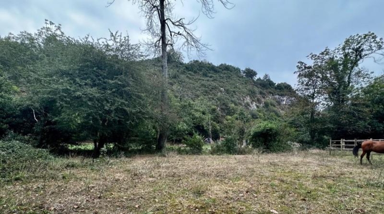Asturias - Cangas de Onís - 830m2