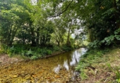 Non-developable land for sale on España, Cangas de Onís, ref: TR364671 photo