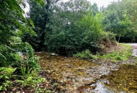 Cangas de Onís 830&nbsp;m² 