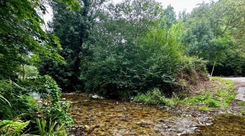 Asturias - Cangas de Onís - 830m2