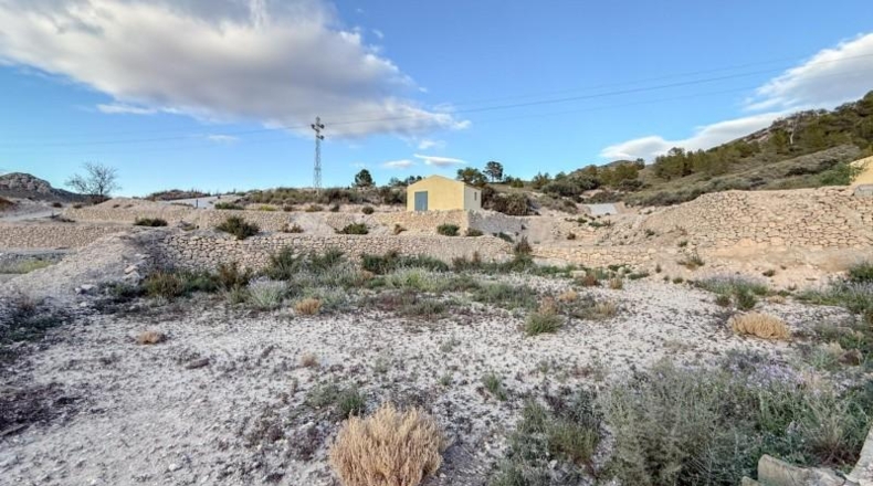 Murcia - Abarán - 2043m2