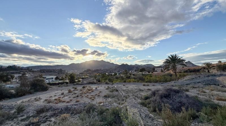 Murcia - Abarán - 2043m2