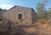 Non-developable land for sale on España, la Torre de l'Espanyol, ref: TR345647 photo