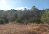 Non-developable land for sale on España, la Torre de l'Espanyol, ref: TR345647 photo