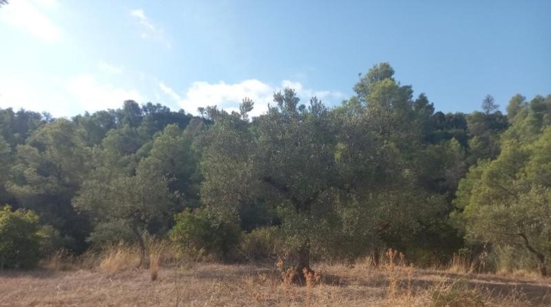 Tarragona - la Torre de l'Espanyol - 10693m2