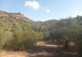 Non-developable land for sale on España, la Torre de l'Espanyol, ref: TR345647 photo