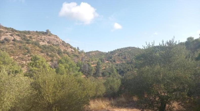 Tarragona - la Torre de l'Espanyol - 10693m2