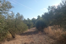 la Torre de l'Espanyol 106937&nbsp;м²