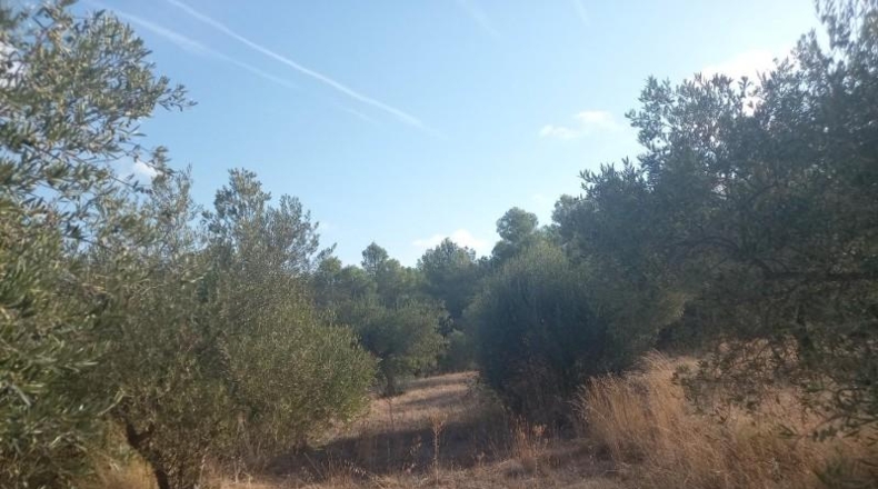 Tarragona - la Torre de l'Espanyol - 10693m2