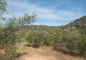 Non-developable land for sale on España, la Torre de l'Espanyol, ref: TR345647 photo
