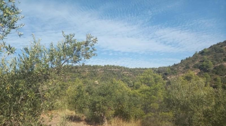 Tarragona - la Torre de l'Espanyol - 10693m2