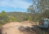 Non-developable land for sale on España, la Torre de l'Espanyol, ref: TR345647 photo