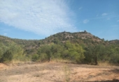 Non-developable land for sale on España, la Torre de l'Espanyol, ref: TR345647 photo