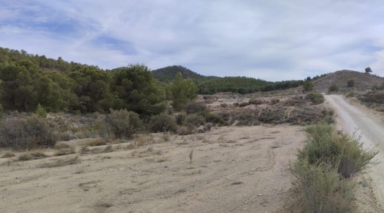 Murcia - Totana - 6m2