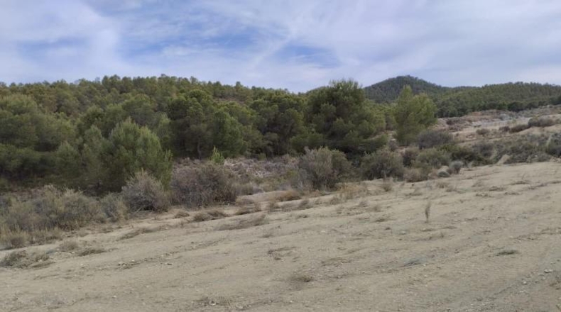 Murcia - Totana - 6m2