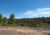 Detached villa with land for sale on España, Calaceite, ref: TR349468 photo