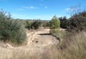 Detached villa with land for sale on España, Calaceite, ref: TR349468 photo