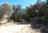 Detached villa with land for sale on España, Calaceite, ref: TR349468 photo