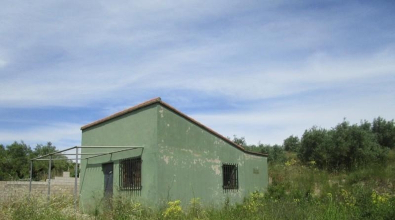 Valencia - Moixent - 12000m2
