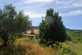 Moixent 12000&nbsp;m² 