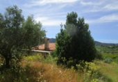 Casa de camp amb terreny en venda a la España, Moixent, ref.: TR297182 foto