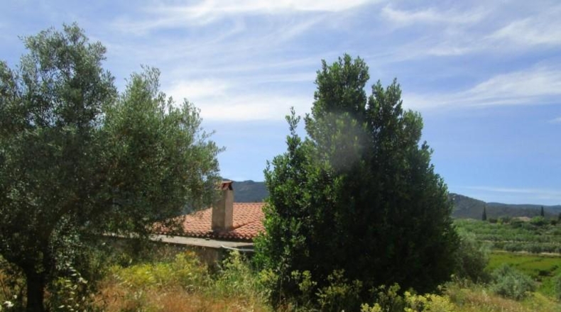 Valencia - Moixent - 12000m2