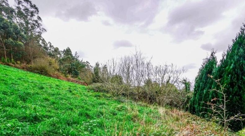 La Coruña - A Laracha - 1811m2