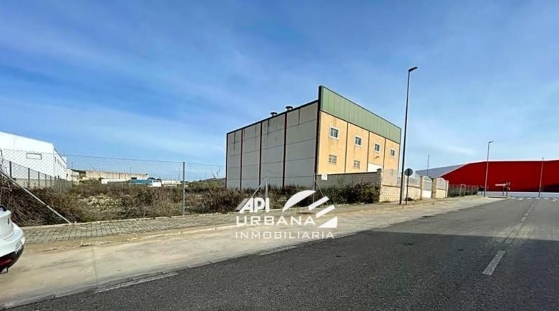 Córdoba - Lucena - 567m2
