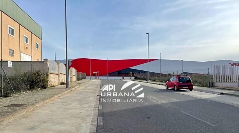 Córdoba - Lucena - 567m2