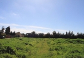 Sòl urbà en venda a la España, Chiclana de la Frontera, ref.: TR305976 foto