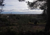 Parcela urbanizable en venta en la España, Benicarló, ref: TR128477 foto