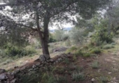Parcela urbanizable en venta en la España, Benicarló, ref: TR128477 foto