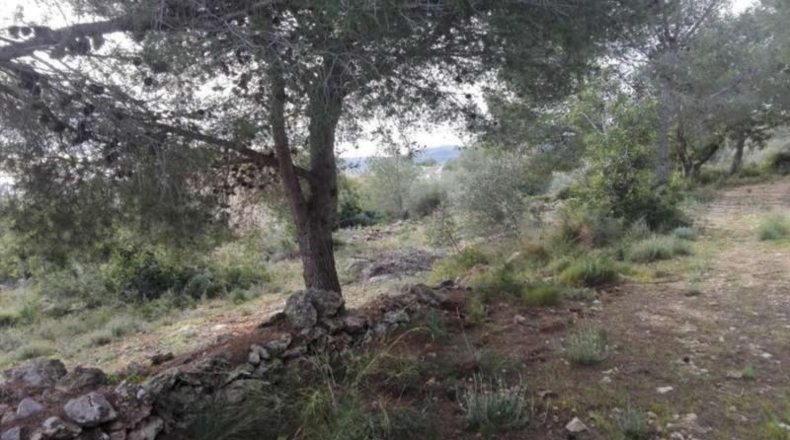Castellón - Benicarló - 7528m2