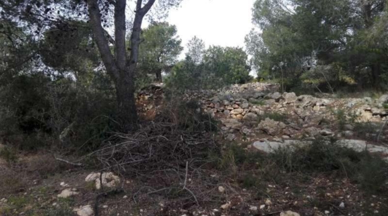 Castellón - Benicarló - 7528m2