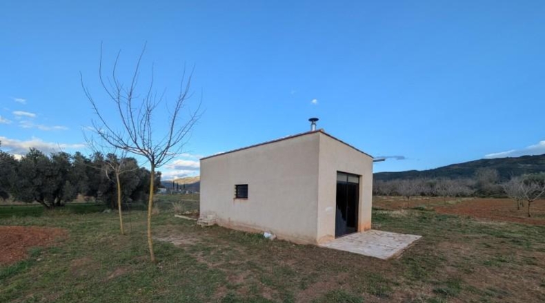 Tarragona - Ulldecona - 21539m2