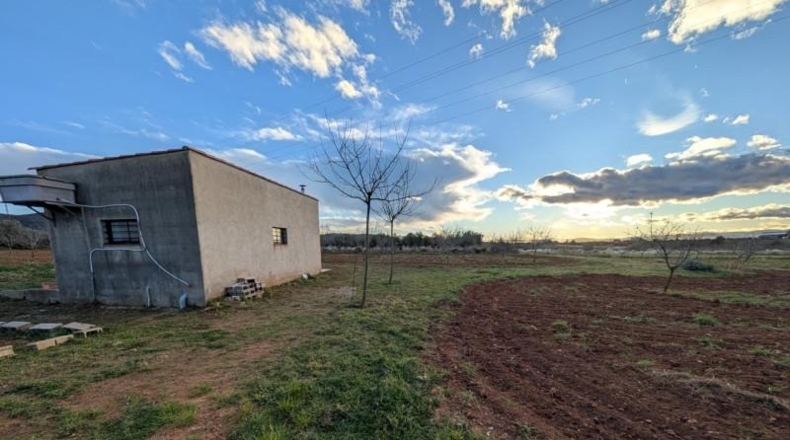 Tarragona - Ulldecona - 21539m2